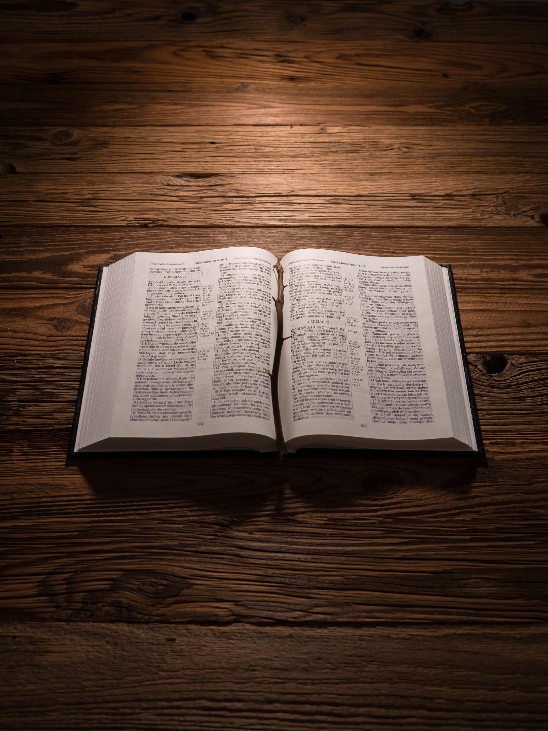 God Says