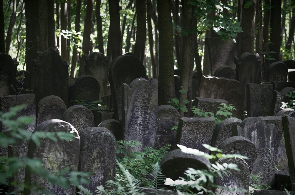 Fighting Over Another Person's Property: An African Reflection on Inheritance, Entitlement, and Legacy landscape, gloomy, cemetery, the jewish, nature, old, stones, the funeral, graves, trees, the nature